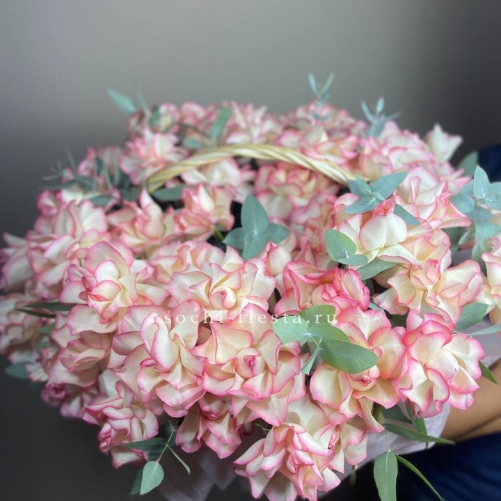 51 джумилия  в корзине   в Таганроге