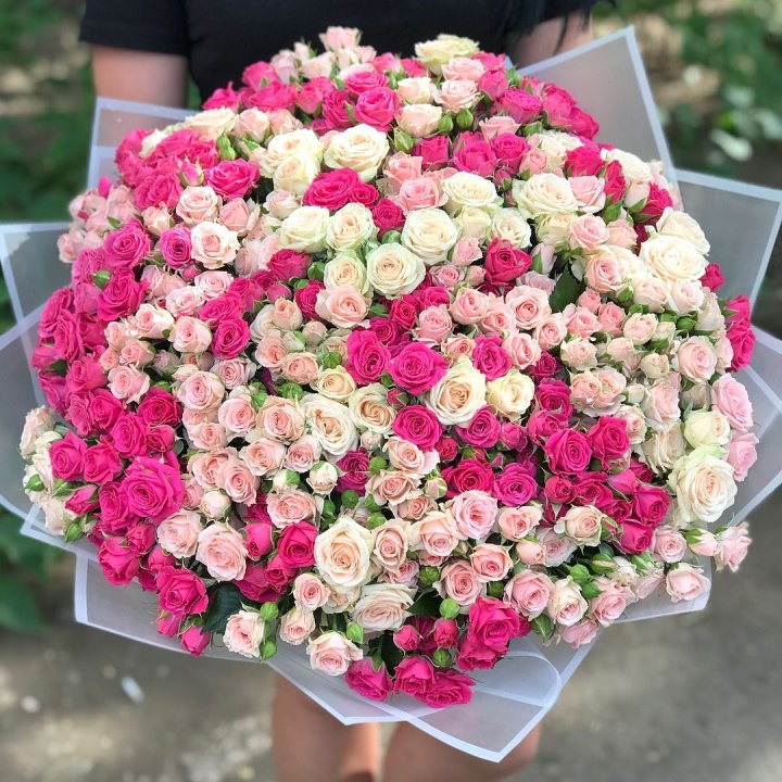 101 кустовая роза в Таганроге