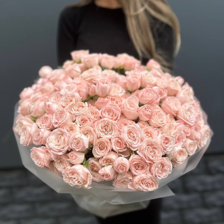 51 кустовая роза Бомбастик в Таганроге