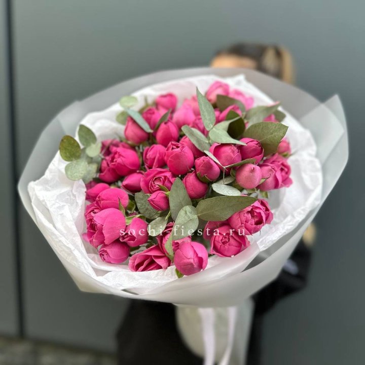 17 Мисти бабблс в Таганроге