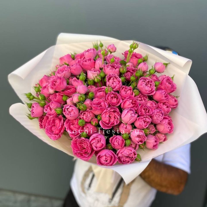 Мисти Баблс 35шт в Таганроге