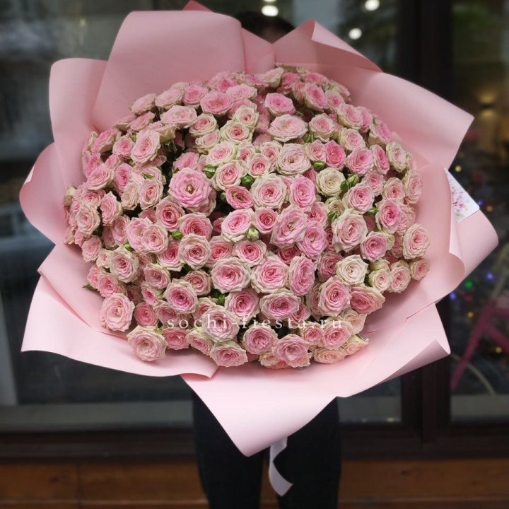 51 кустовая роза Твистер в Таганроге