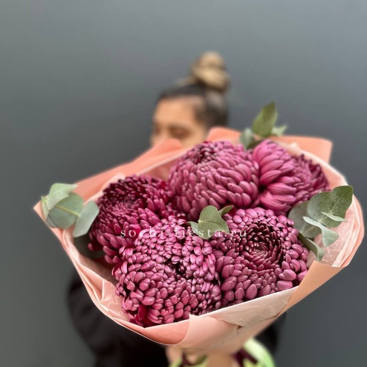 Хризантемы  Бигуди  в Таганроге