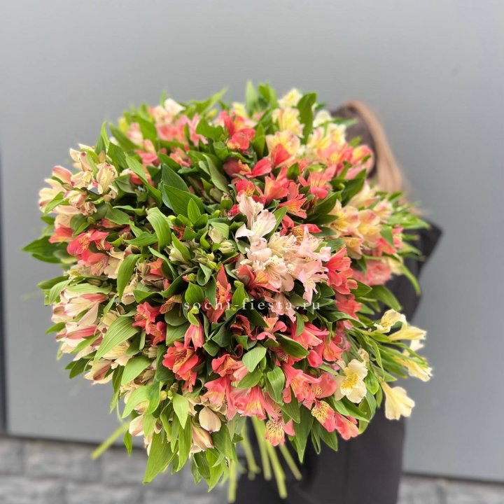 51 альстромерия в Таганроге