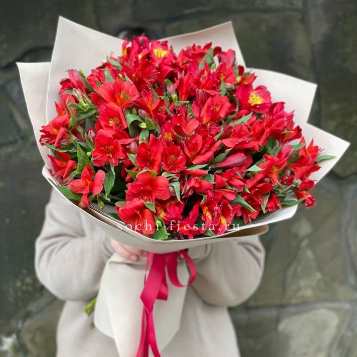 51 альстромерия в Таганроге