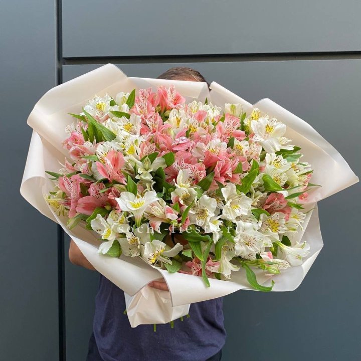 39 альстромерий в Таганроге