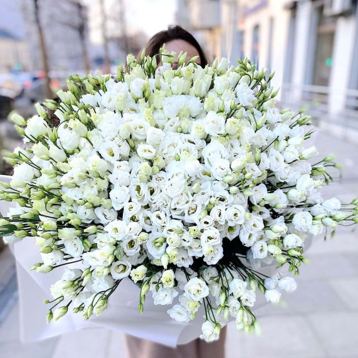 101 белая эустома в Таганроге