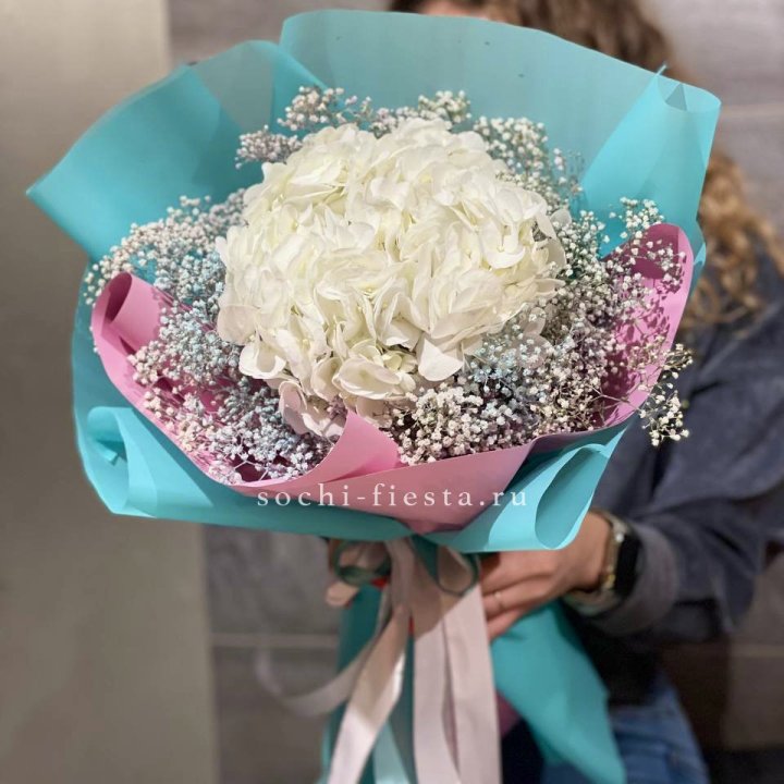 Гортензия "Райдов" в Таганроге