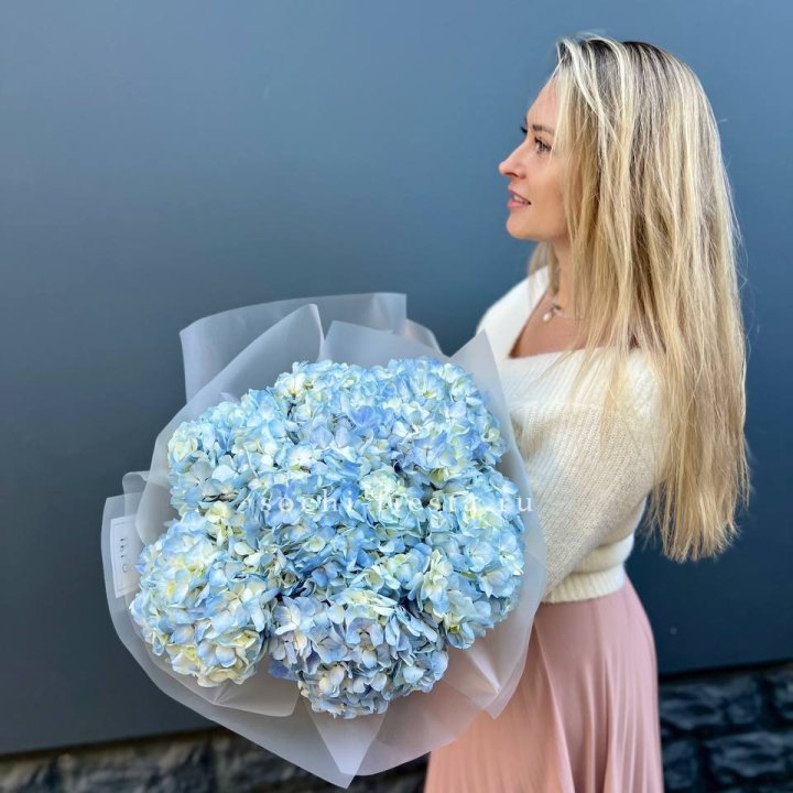 7 голубых гортензий в Таганроге