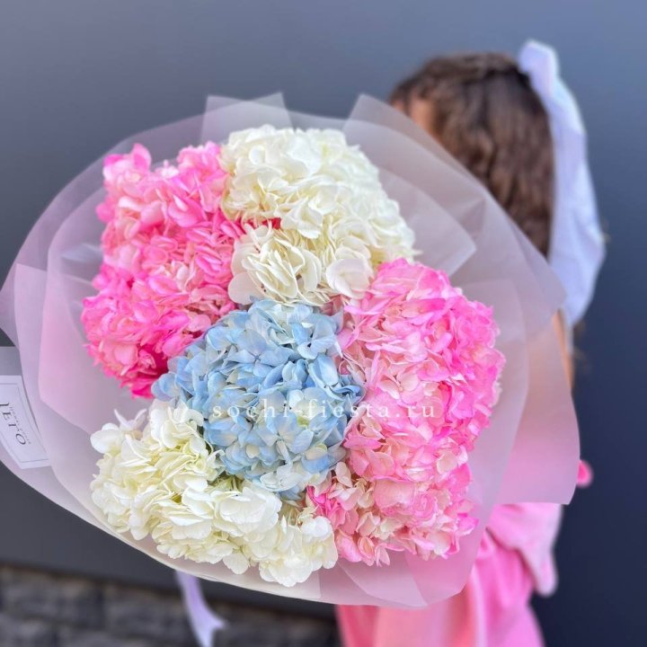 7 гортензий микс в Таганроге