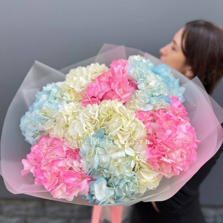 9 гортензий микс в Таганроге