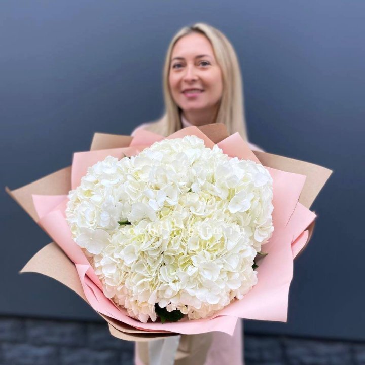 Гортензия белая в Таганроге