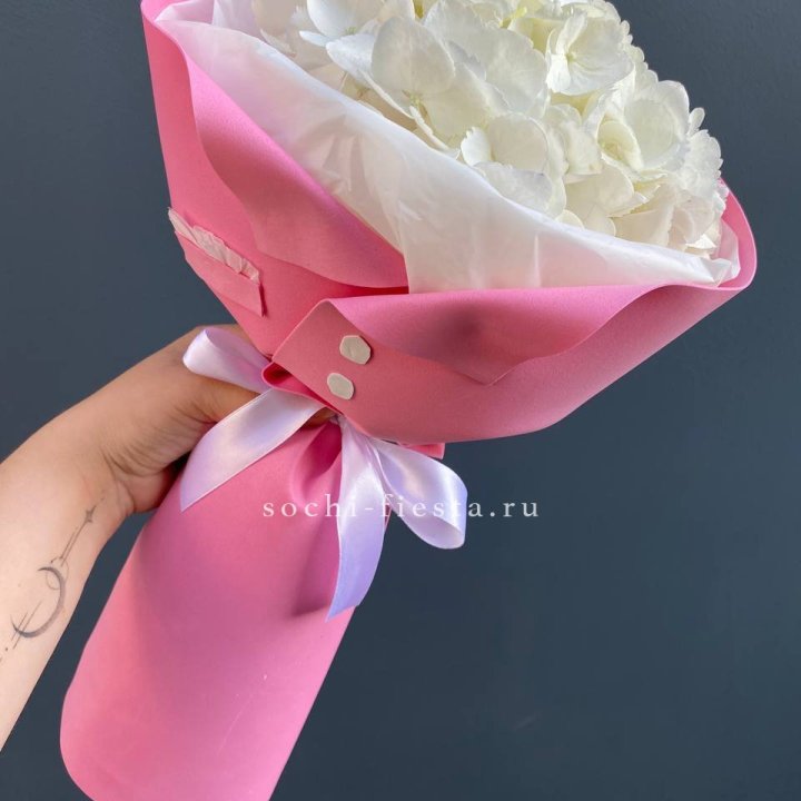 Гортензия в розовом пиджаке в Таганроге