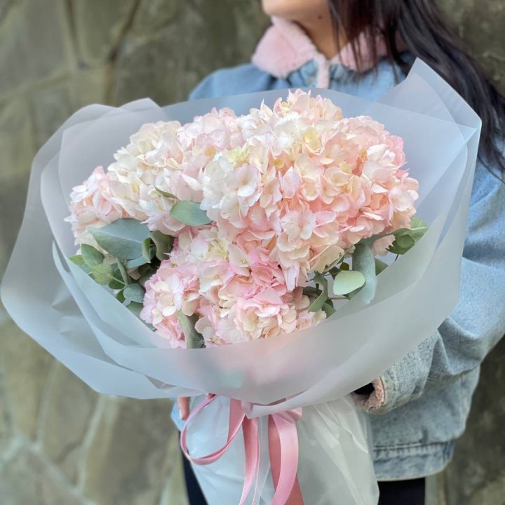 5 розовых гортензий в Таганроге