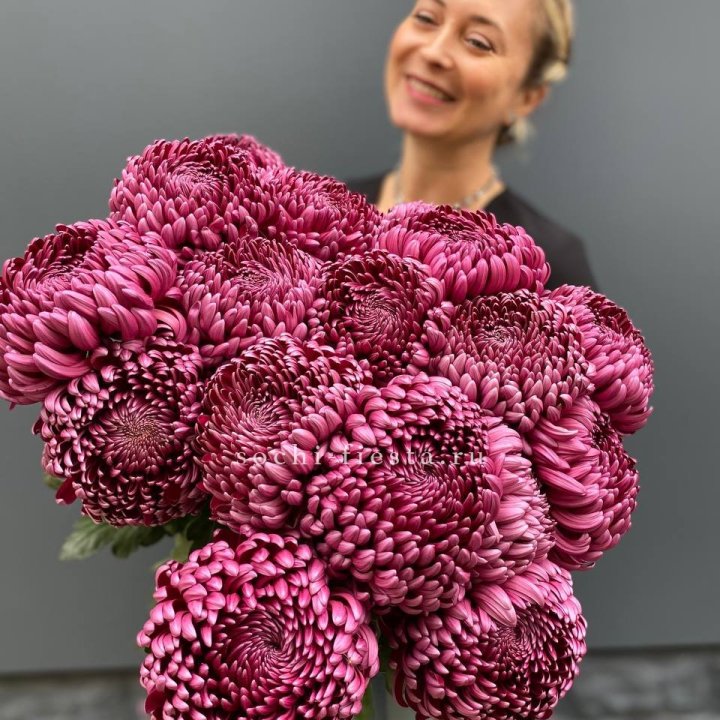 Охапка хризантем Бигуди в Таганроге