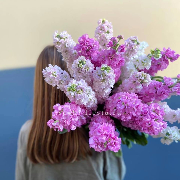 Охапка маттиолы в Таганроге