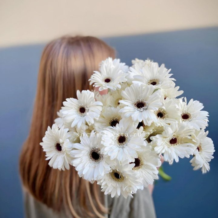 Охапка гербер в Таганроге