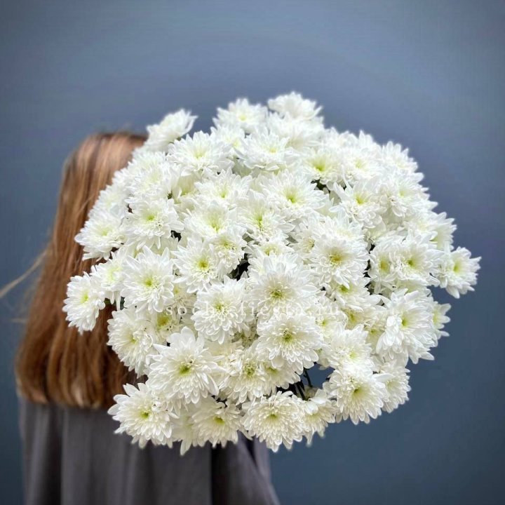 Охапка Хризантемы кустовой в Таганроге