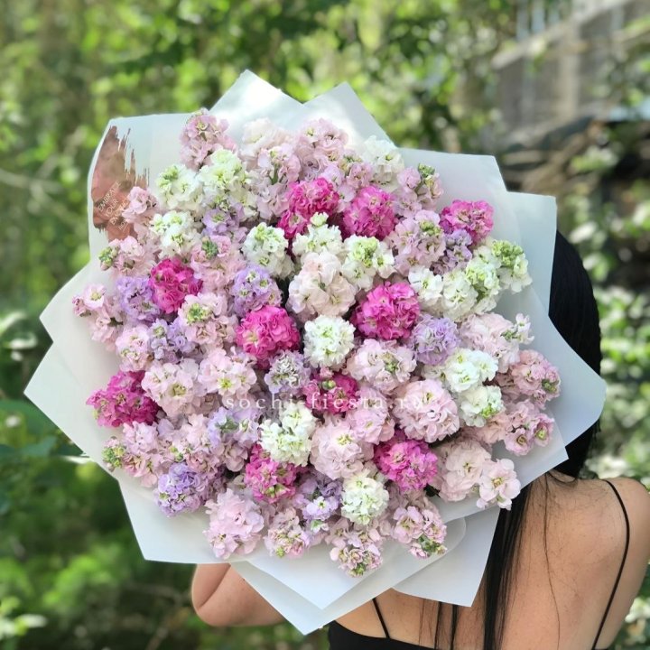 Букет ароматной маттиоллы №3 в Таганроге