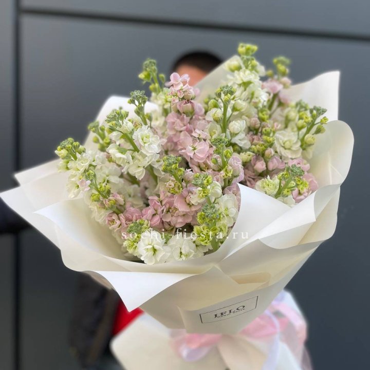 29 маттиол  в Таганроге