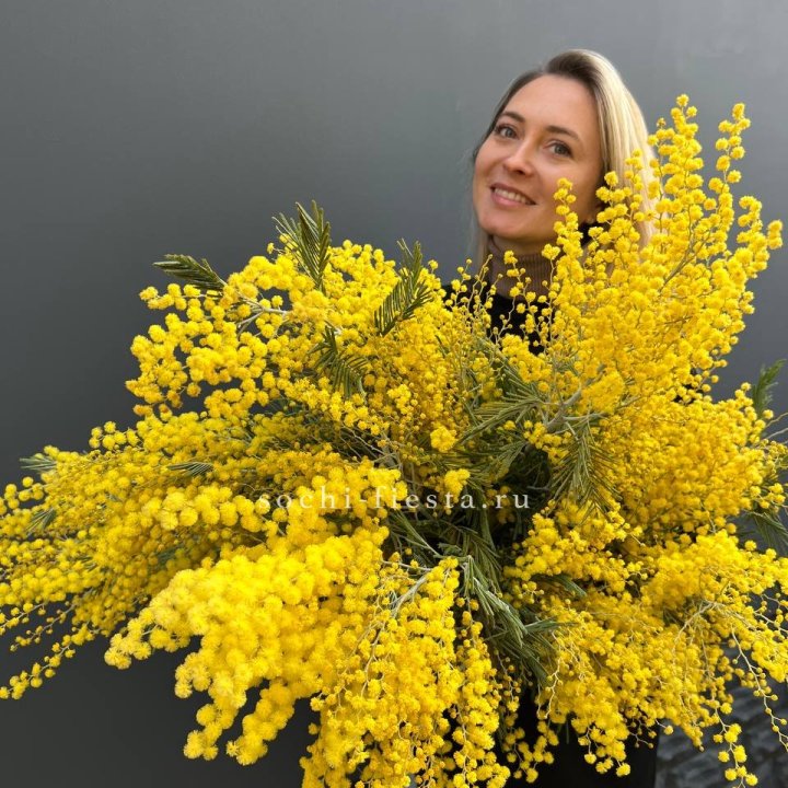 Охапка мимозы №2 в Таганроге