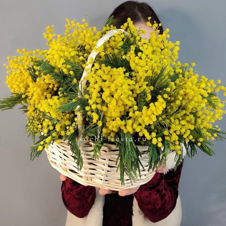 Корзина ароматной мимозы в Таганроге