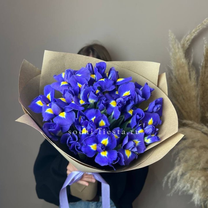 Ирисы в Таганроге