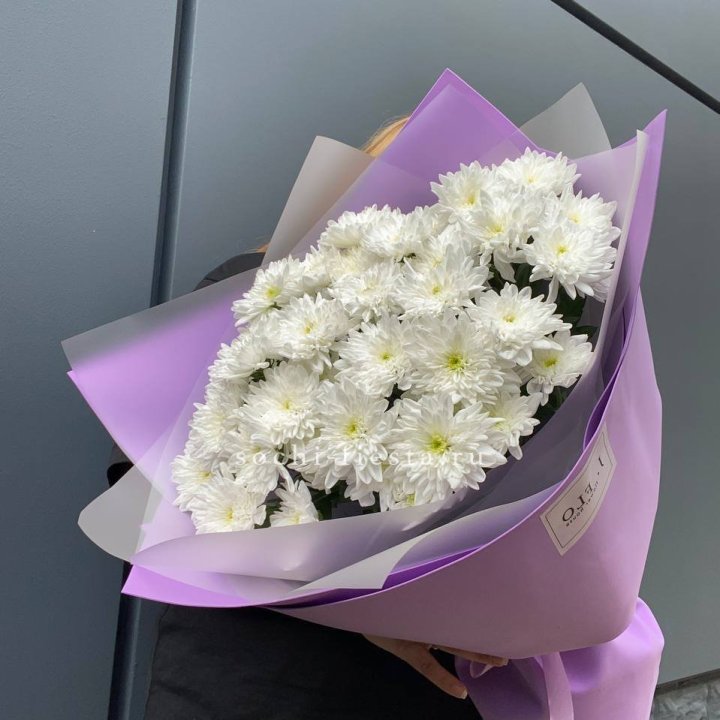  7 хризантем  в Таганроге