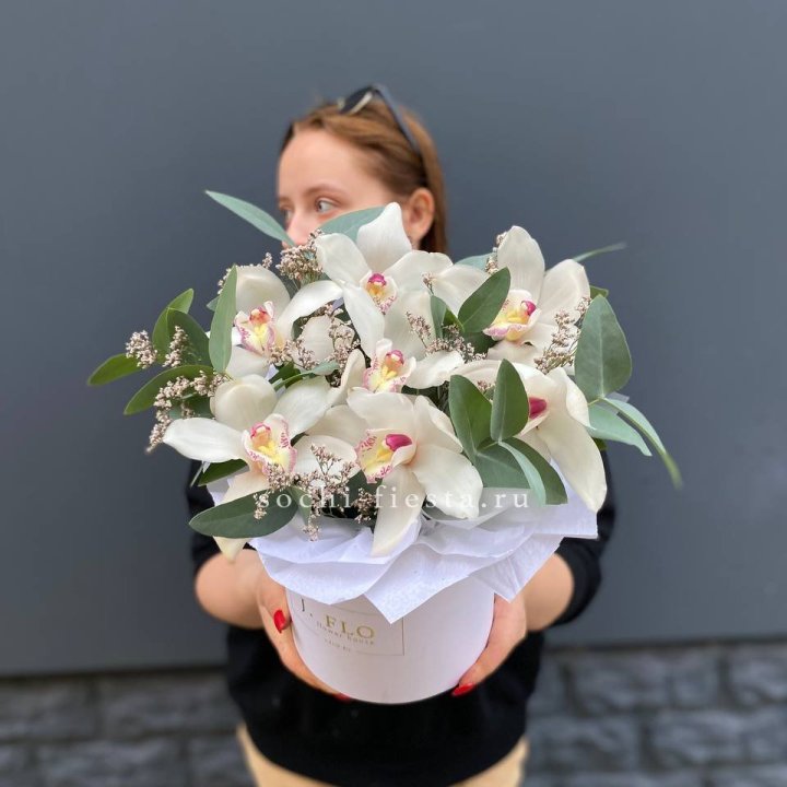 7 орхидей в боксе в Таганроге