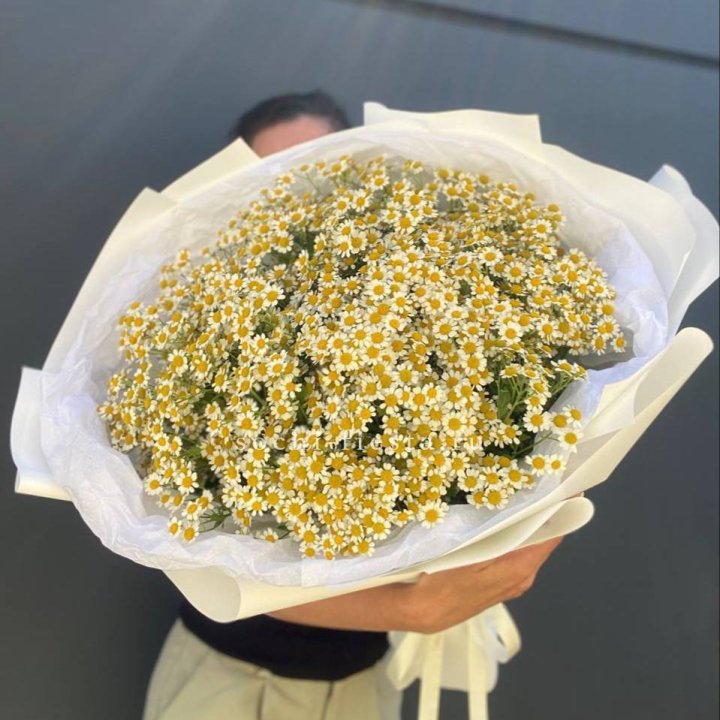 Букет ромашек №2 в Таганроге