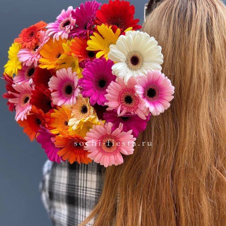 Охапка гербер  в Таганроге