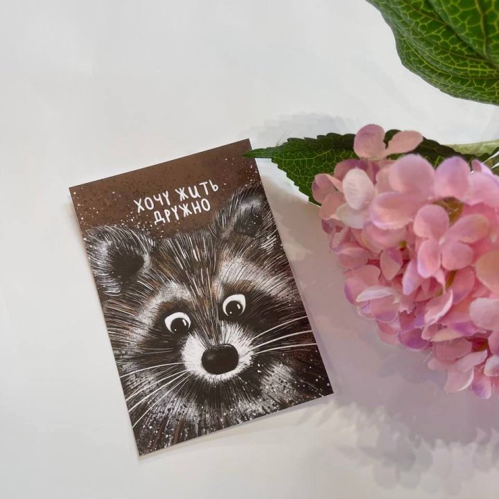 Открытка к букету "Енотик" в Таганроге