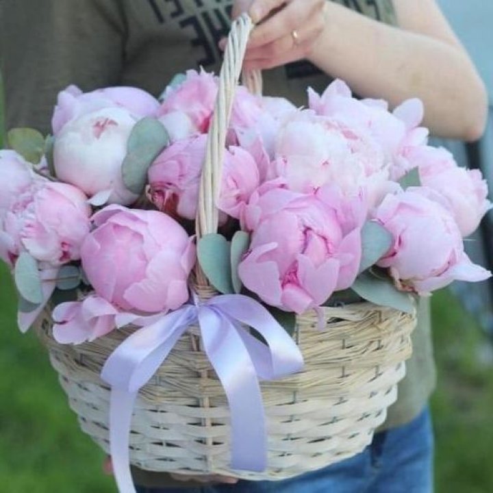 15 пионов в корзине в Таганроге