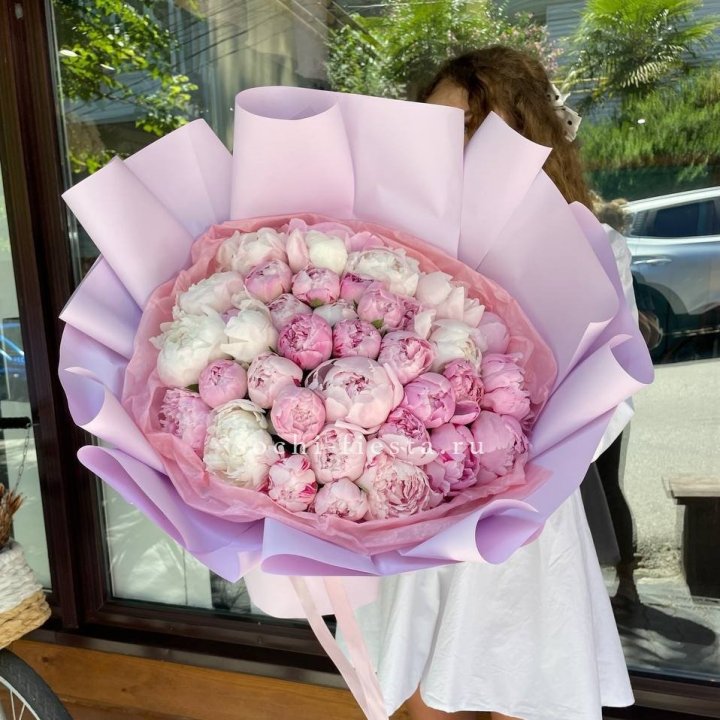 51 розовый пион в Таганроге