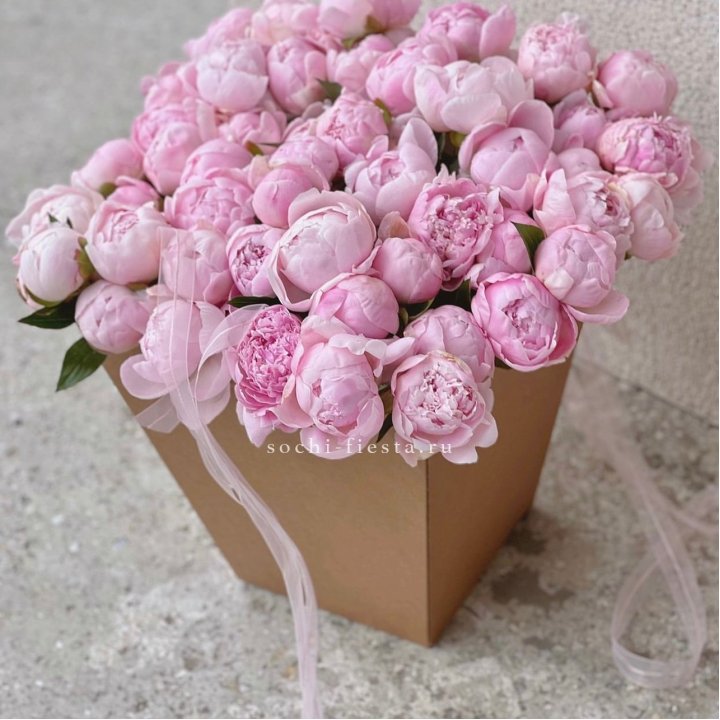 49 пионов в крафт коробке в Таганроге