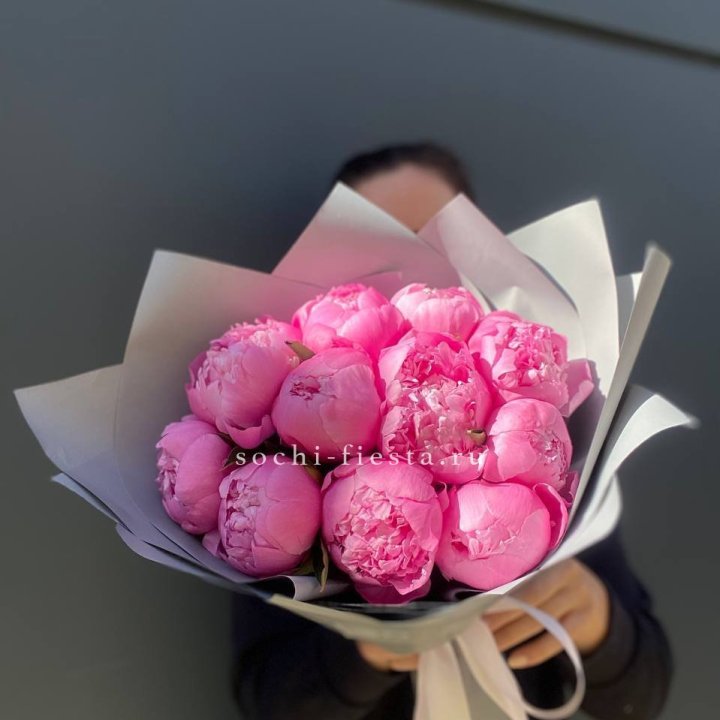 Пионы Алекс флеминг в Таганроге