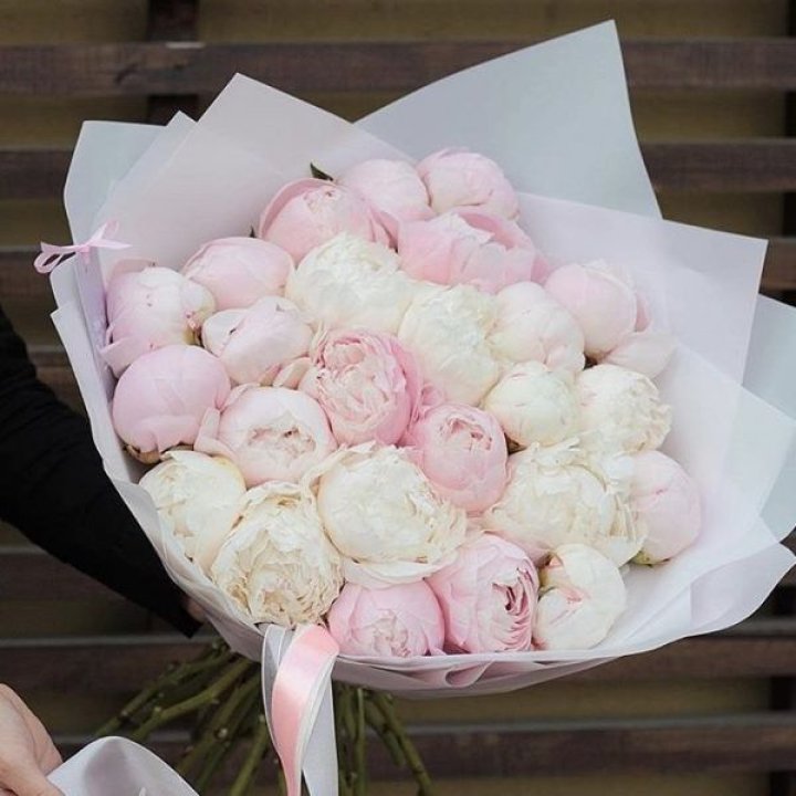 29 пионов в Таганроге