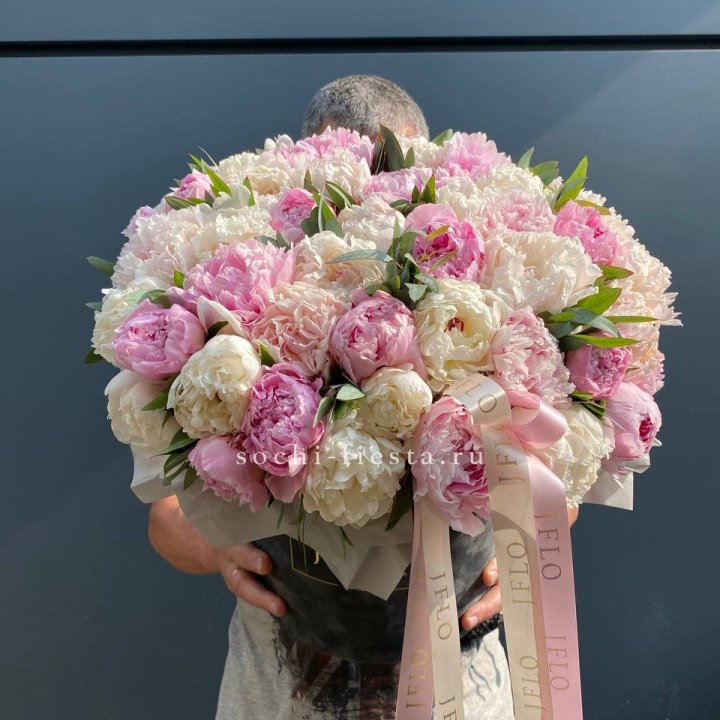 51 пионов в боксе в Таганроге