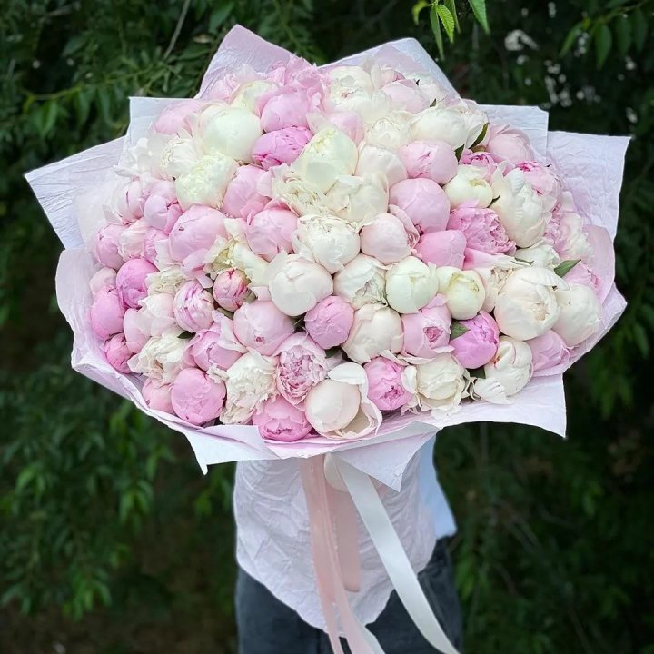 101 пион в Таганроге