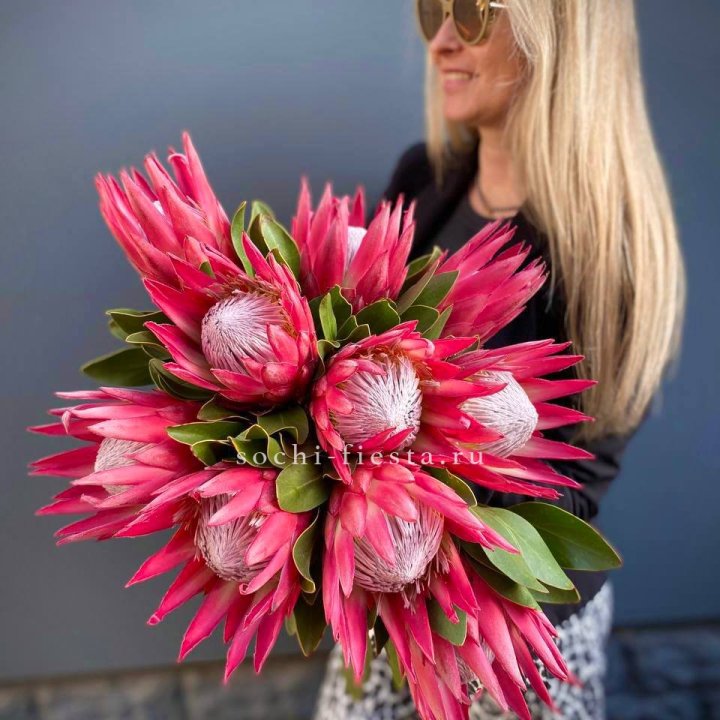 Протея штучно в Таганроге