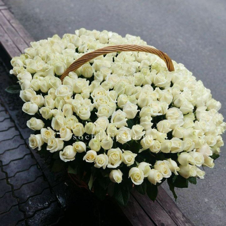 303 розы в корзине в Таганроге