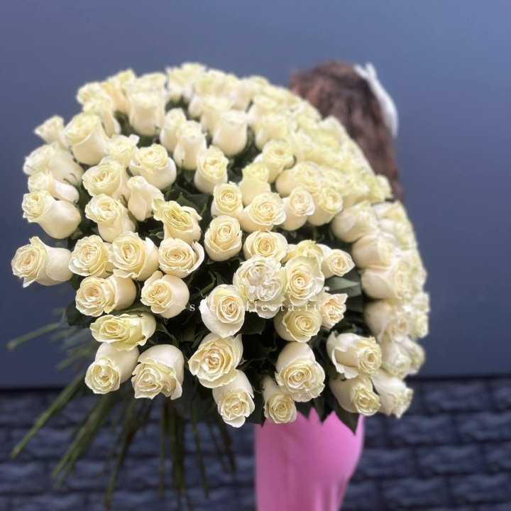 101 белая высокая импортная роза под ленту в Таганроге