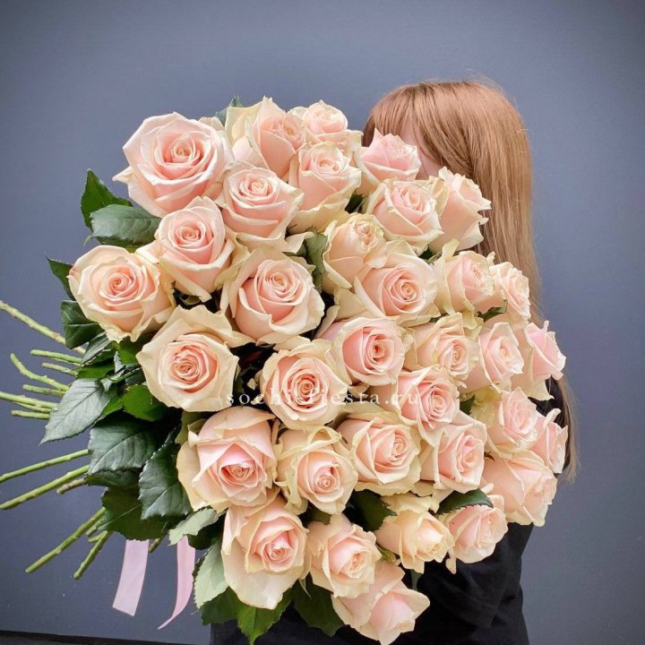 35 кремовых высоких роз в Таганроге