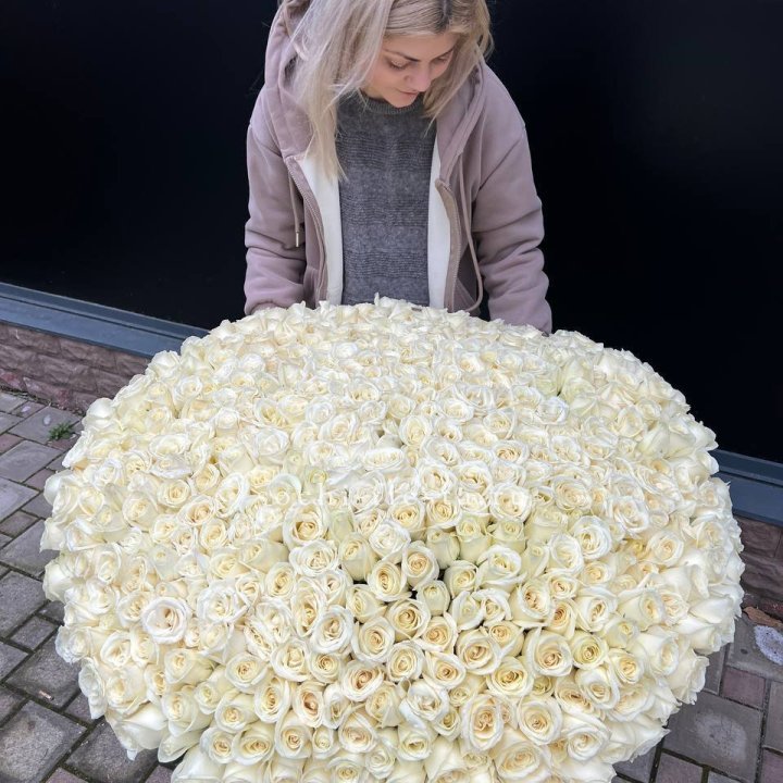 501 белая роза в корзине в Таганроге