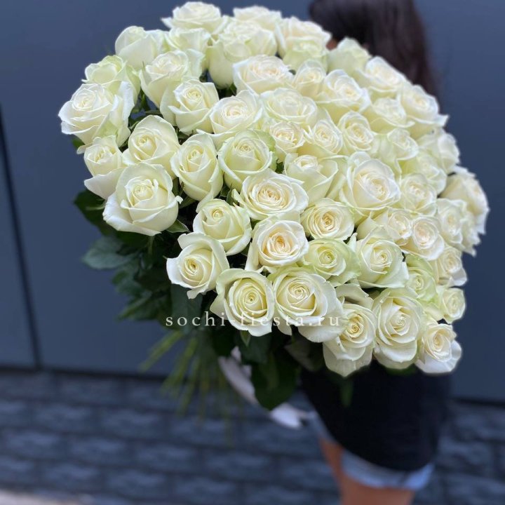 51 белоснежная высокая роза в Таганроге