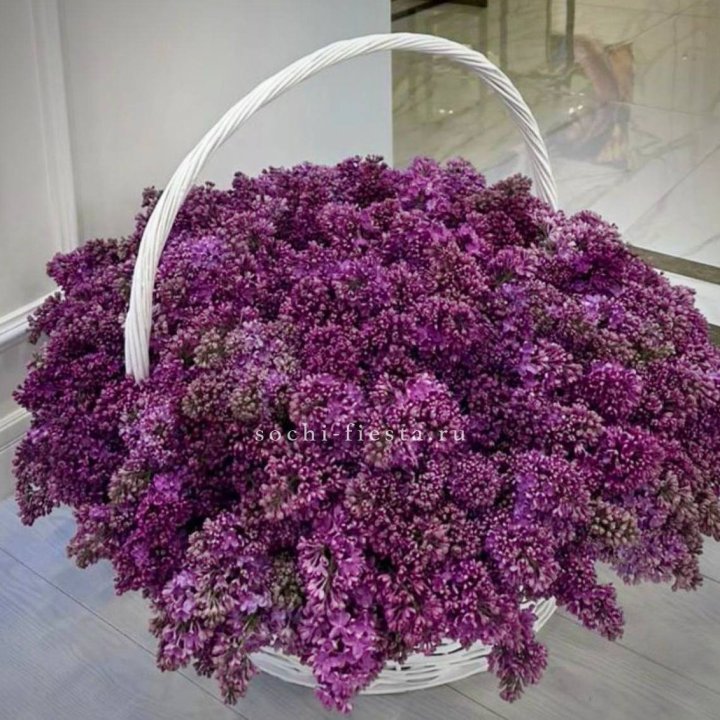 Корзина сирени в Таганроге