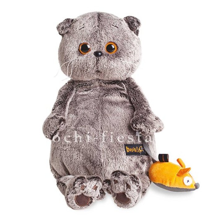 Кот Басик с мышкой в Таганроге