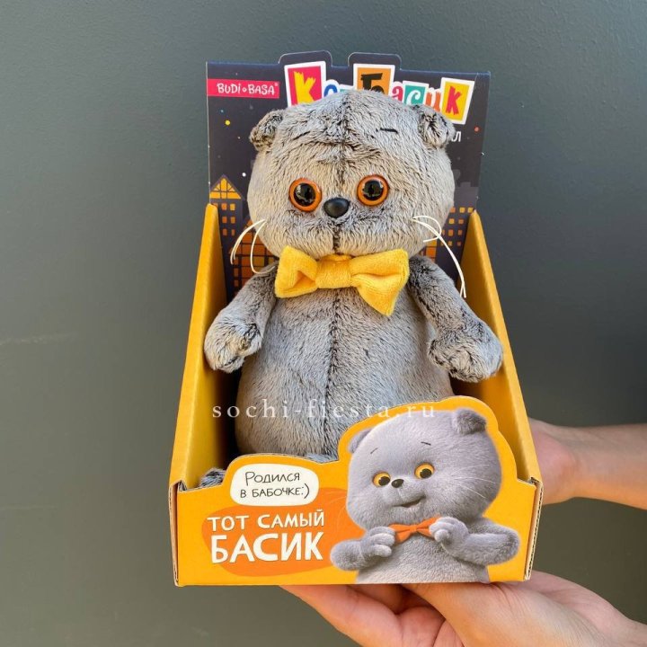 Кот Басик с бабочкой в Таганроге