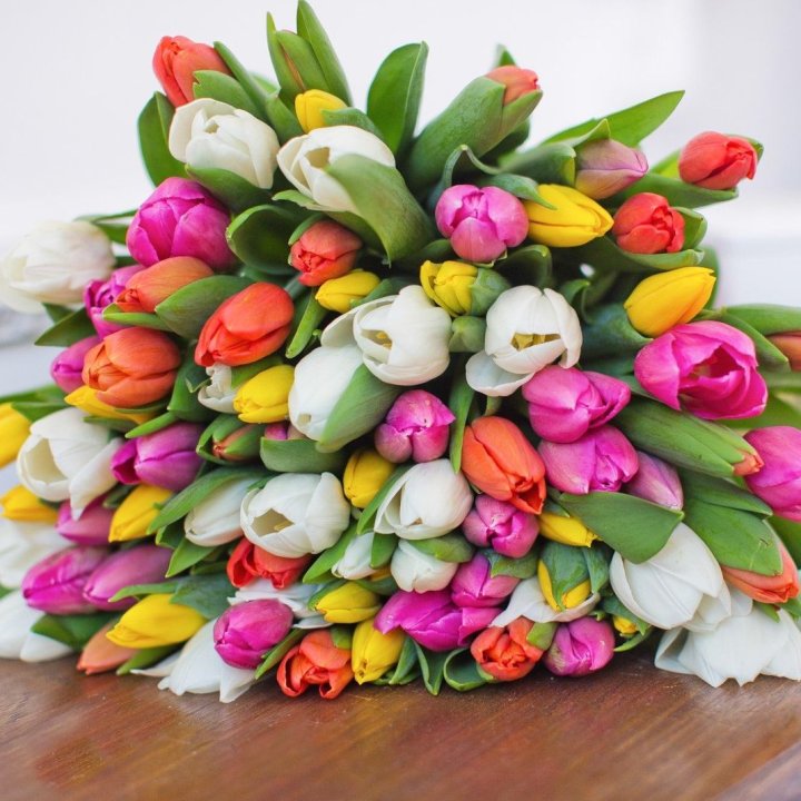 79 тюльпанов "Рандом" в Таганроге