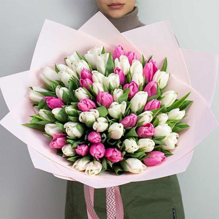 61 бело-розовый тюльпан в Таганроге